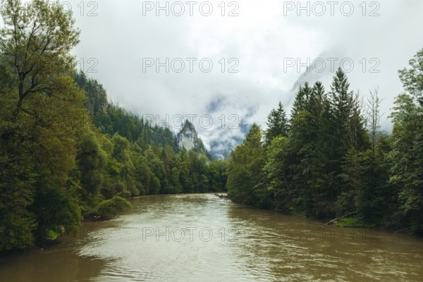 Enns after heavy rainfall surrounded by dense forests and fog-covered mountains, Gesäuse, Styria, Austria