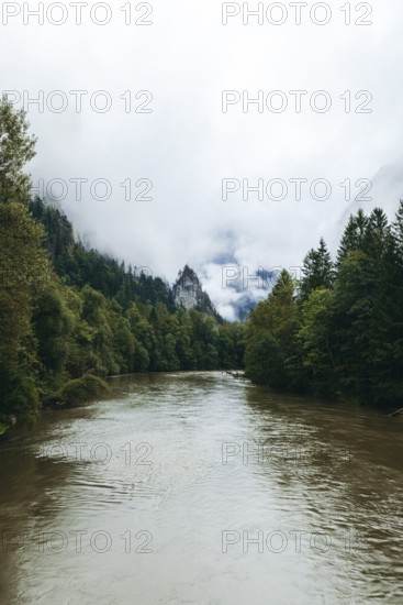 Enns after heavy rainfall surrounded by dense forests and fog-covered mountains, Gesäuse, Styria, Austria