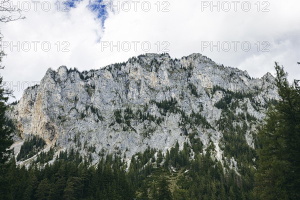 Rock face, Pribitz, Tragöß, Styria, Austria