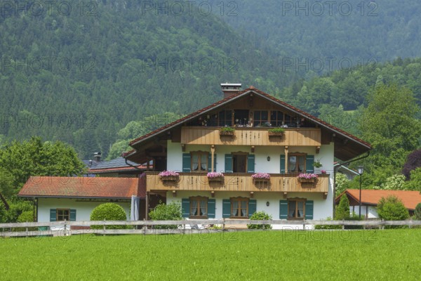 Meadow with houses, Oberwössen, Chiemgau, Upper Bavaria, Bavaria, Germany