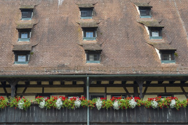 Flowers on the arcades, roof with dormer windows, Old Court, inner courtyard, UNESCO World Heritage Site, Bamberg, Upper Franconia, Franconia, Bavaria, Germany
