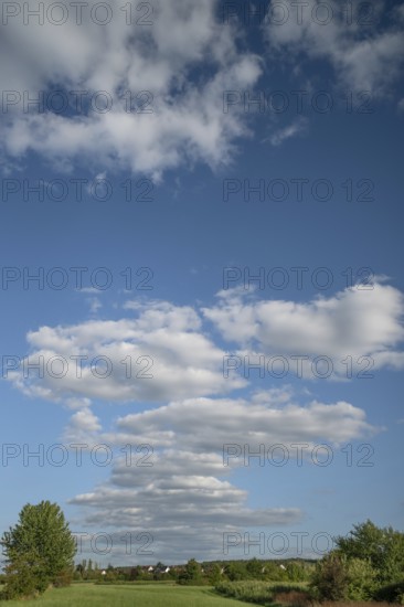 Landscape with cloudy sky, Eckental, Middle Franconia, Bavaria, Germany