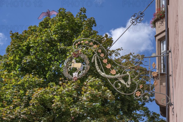 Nose plate from the former Hotel Rotes Ross from 1552, Weinmarkt, Nuremberg, Middle Franconia, Bavaria, Germany