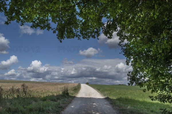 Field path and cloudy sky, Upper Franconia, Bavaria, Germany