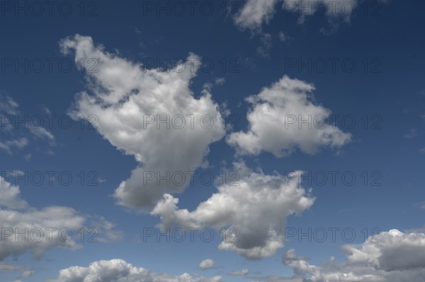 Cluster clouds (cumulus), Bavaria, Germany