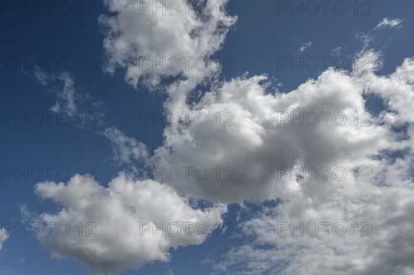 Cluster clouds (cumulus), Bavaria, Germany