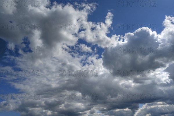 Rain clouds (Nimbostratus), Bavaria, m Germany