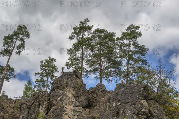 Domestic goats (Capra aegagrus hircus) on a climbing rock, Obertrubach, Upper Franconia, Bavaria, Germany
