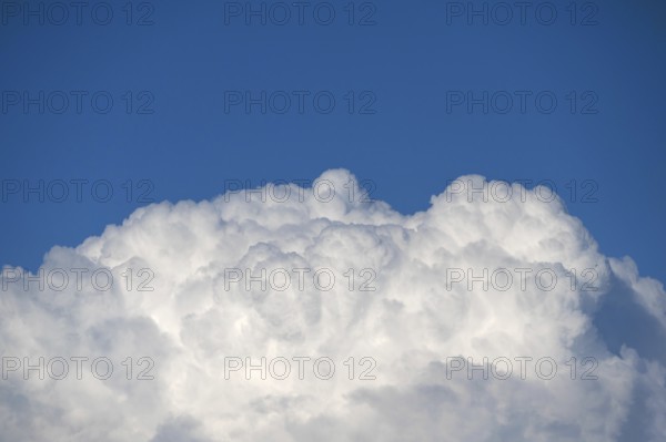 Cluster clouds (cumulus), Bavaria, Germany