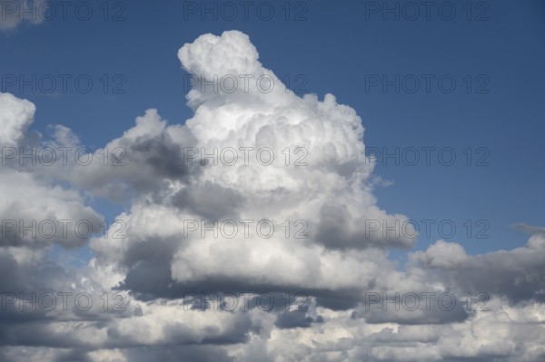 Cluster clouds (cumulus), Bavaria, Germany