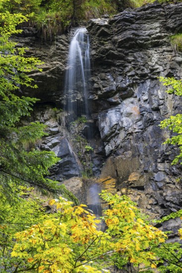 Small waterfall within the Breitachklamm gorge, beech (Fagus), beech family (Fagaceae), Schrattenkalk, Oberstdorf, Allgäu Alps, Bavaria, Germany