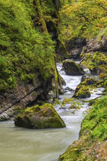 Breitach flows through a narrow gorge with stones, stream, Schrattenkalk, Breitachklamm, Oberstdorf, Allgäu Alps, Bavaria, Germany