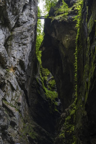 Small bridge leads over the gorge, hiking trail, Breitachklamm, Oberstdorf, Allgäu Alps, Bavaria, Germany