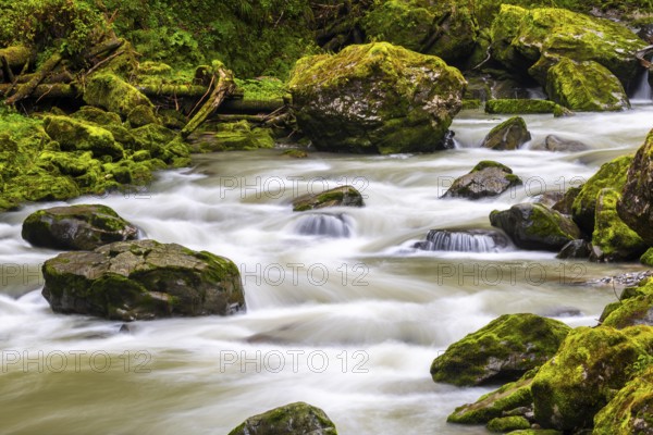 Breitach flows through stream bed with stones, stream, Schrattenkalk, Breitachklamm gorge, Oberstdorf, Allgäu Alps, Bavaria, Germany
