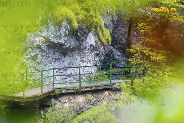 Hiking trail through the gorge, footbridge, coloured foliage, Schrattenkalk, Breitachklamm, Oberstdorf, Allgäu Alps, Bavaria, Germany