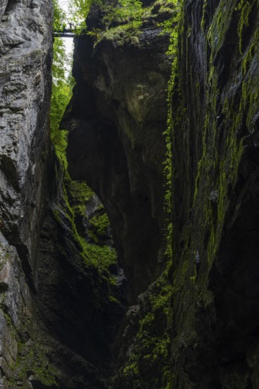 Small bridge leads over the gorge, hiking trail, visitor, Breitachklamm, Oberstdorf, Allgäu Alps, Bavaria, Germany