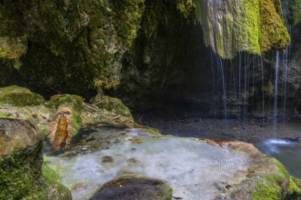 Sinterstein with mosses, Hinanger waterfalls, gorge, rock, limestone, Hinang, Fischen, Allgäu Alps, Bavaria, Germany