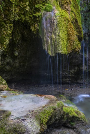 Sinterstein with mosses, Hinanger waterfalls, gorge, rock, limestone, Hinang, Fischen, Allgäu Alps, Bavaria, Germany