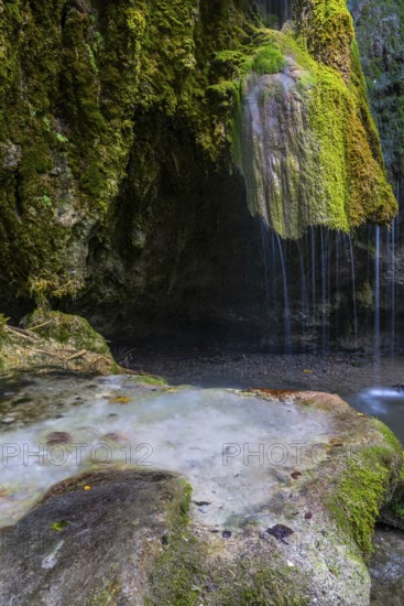 Sinterstein with mosses, Hinanger waterfalls, gorge, rock, limestone, Hinang, Fischen, Allgäu Alps, Bavaria, Germany