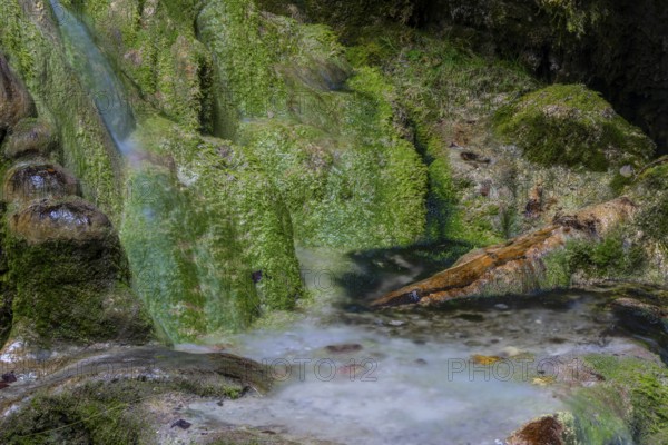 Sinterstein overgrown with mosses, Hinanger waterfalls, gorge, rock, limestone, Hinang, Fischen, Allgäu Alps, Bavaria, Germany