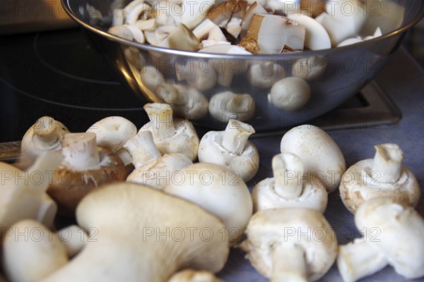 Mushrooms (Agaricus), kitchen, stainless steel bowl, food, preparation, mushrooms are prepared for a delicious meal. Some mushrooms lie in front of the bowl and are reflected in the surface. The chopped mushrooms lie in the bowl