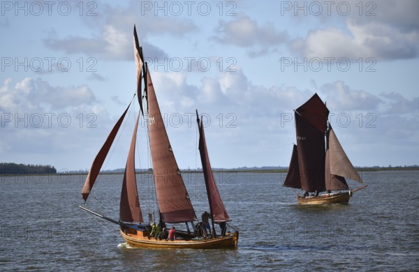 Zeesbootregatta on the Bodden near Bodstedt, Darß, Mecklenburg-Vorpommern, Germany