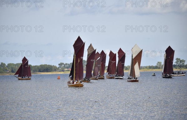 Zeesbootregatta on the Bodden near Bodstedt, Darß, Mecklenburg-Vorpommern, Germany