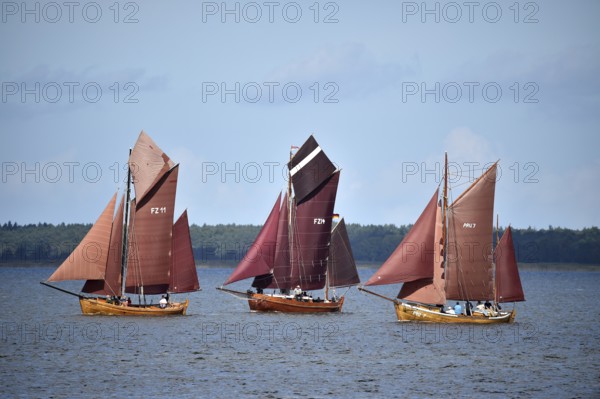 Zeesbootregatta on the Bodden near Bodstedt, Darß, Mecklenburg-Vorpommern, Germany