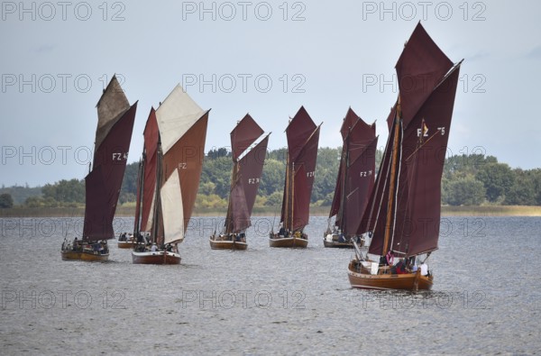Zeesbootregatta on the Bodden near Bodstedt, Darß, Mecklenburg-Vorpommern, Germany