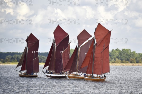 Zeesbootregatta on the Bodden near Bodstedt, Darß, Mecklenburg-Vorpommern, Germany
