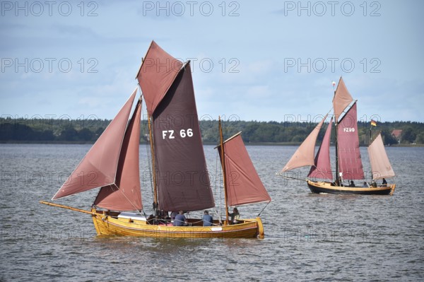 Zeesbootregatta on the Bodden near Bodstedt, Darß, Mecklenburg-Vorpommern, Germany