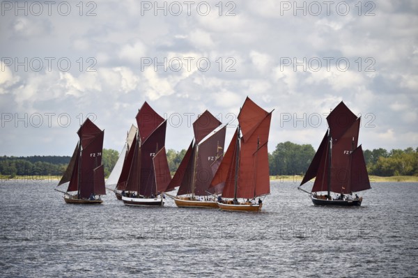 Zeesbootregatta on the Bodden near Bodstedt, Darß, Mecklenburg-Vorpommern, Germany