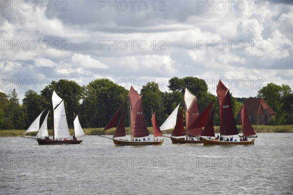Zeesbootregatta on the Bodden near Bodstedt, Darß, Mecklenburg-Vorpommern, Germany
