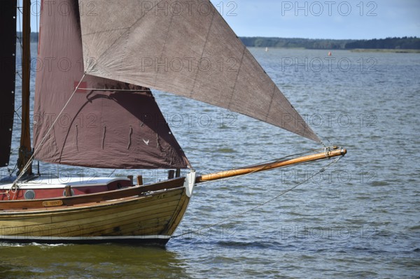 Zeesbootregatta on the Bodden near Bodstedt, Darß, Mecklenburg-Vorpommern, Germany