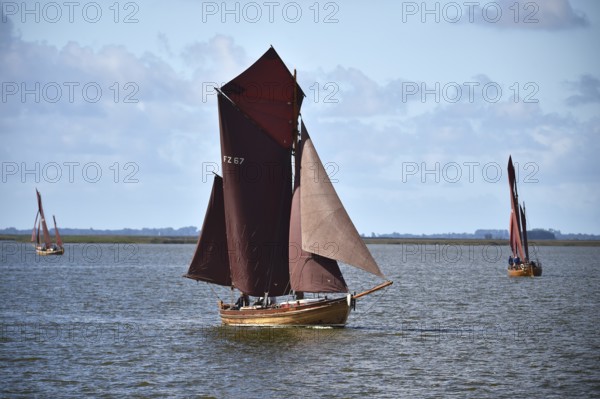 Zeesbootregatta on the Bodden near Bodstedt, Darß, Mecklenburg-Vorpommern, Germany