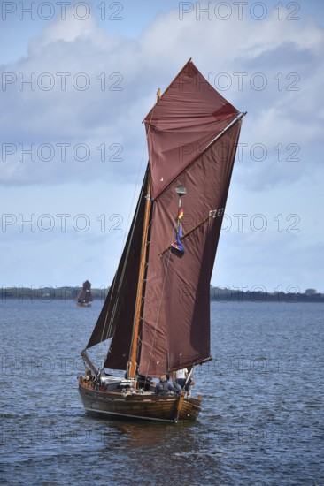 Zeesbootregatta on the Bodden near Bodstedt, Darß, Mecklenburg-Vorpommern, Germany