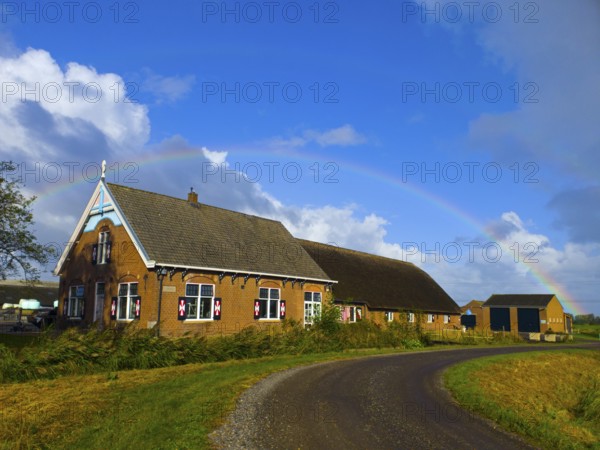 A picturesque farm in the countryside with a rainbow over the blue sky, former monastery, farm with graceful animals and a beautiful caravan site, Hofstede Kloosterstein, Haastecht, Gouda, Holland, Netherlands