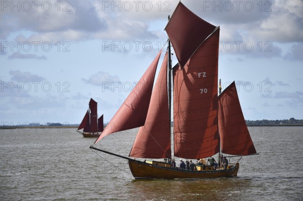 Zeesbootregatta on the Bodden near Bodstedt, Darß, Mecklenburg-Vorpommern, Germany
