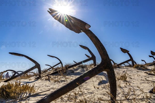 Cemitério das âncoras, anchor cemetery, around 250 iron anchors are placed here, they used to anchor a network of nets on the seabed to catch shoals of tuna travelling along the coast, a reminder of the Algarve's defunct tuna fishery, on Praia do Barril beach on the island of Tavira, Praia da Ilha de Tavira, Algarve, Portugal