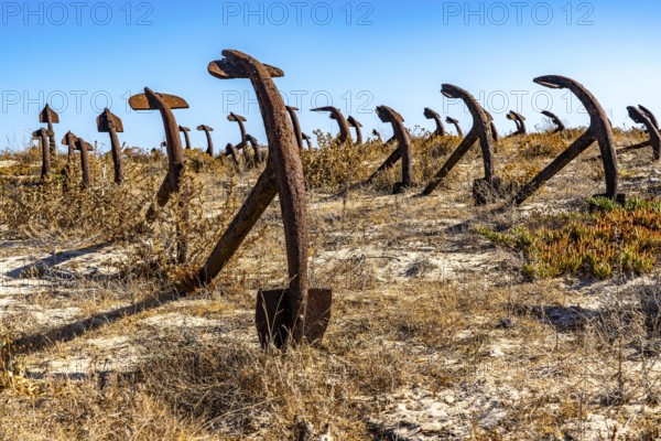 Cemitério das âncoras, anchor cemetery, around 250 iron anchors are placed here, they used to anchor a network of nets on the seabed to catch shoals of tuna travelling along the coast, a reminder of the Algarve's defunct tuna fishery, on Praia do Barril beach on the island of Tavira, Praia da Ilha de Tavira, Algarve, Portugal