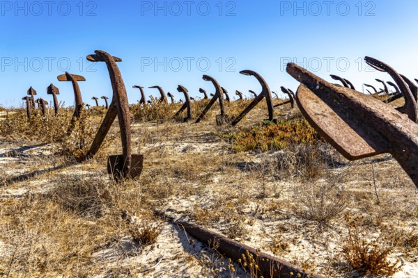Cemitério das âncoras, anchor cemetery, around 250 iron anchors are placed here, they used to anchor a network of nets on the seabed to catch shoals of tuna travelling along the coast, a reminder of the Algarve's defunct tuna fishery, on Praia do Barril beach on the island of Tavira, Praia da Ilha de Tavira, Algarve, Portugal