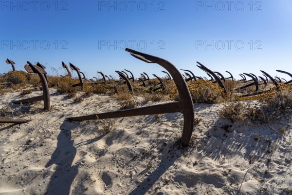 Cemitério das âncoras, anchor cemetery, around 250 iron anchors are placed here, they used to anchor a network of nets on the seabed to catch shoals of tuna travelling along the coast, a reminder of the Algarve's defunct tuna fishery, on Praia do Barril beach on the island of Tavira, Praia da Ilha de Tavira, Algarve, Portugal