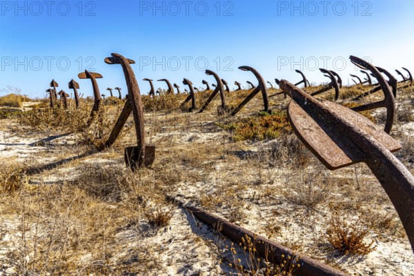 Cemitério das âncoras, anchor cemetery, around 250 iron anchors are placed here, they used to anchor a network of nets on the seabed to catch shoals of tuna travelling along the coast, a reminder of the Algarve's defunct tuna fishery, on Praia do Barril beach on the island of Tavira, Praia da Ilha de Tavira, Algarve, Portugal