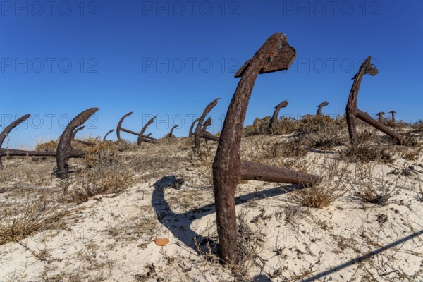 Cemitério das âncoras, anchor cemetery, around 250 iron anchors are placed here, they used to anchor a network of nets on the seabed to catch shoals of tuna travelling along the coast, a reminder of the Algarve's defunct tuna fishery, on Praia do Barril beach on the island of Tavira, Praia da Ilha de Tavira, Algarve, Portugal