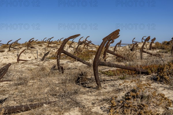 Cemitério das âncoras, anchor cemetery, around 250 iron anchors are placed here, they used to anchor a network of nets on the seabed to catch shoals of tuna travelling along the coast, a reminder of the Algarve's defunct tuna fishery, on Praia do Barril beach on the island of Tavira, Praia da Ilha de Tavira, Algarve, Portugal