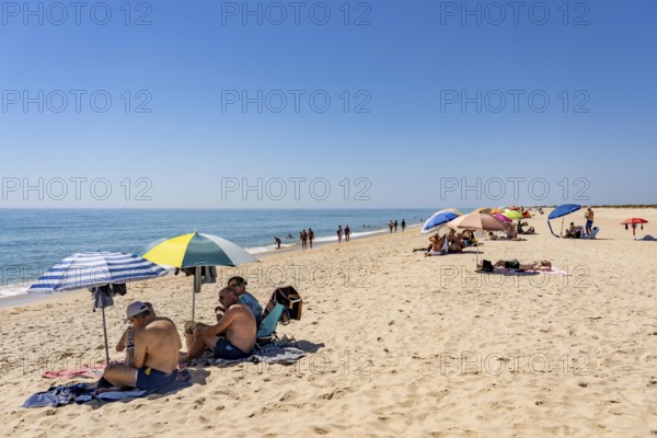 Kilometre-long beach Praia da Ilha de Tavira, on the island off Tavira, partly managed, Algarve, Portugal