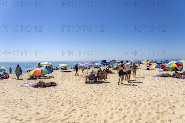 Kilometre-long beach Praia da Ilha de Tavira, on the island off Tavira, partly managed, Algarve, Portugal