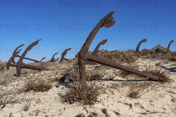 Cemitério das âncoras, anchor cemetery, around 250 iron anchors are placed here, they used to anchor a network of nets on the seabed to catch shoals of tuna travelling along the coast, a reminder of the Algarve's defunct tuna fishery, on Praia do Barril beach on the island of Tavira, Praia da Ilha de Tavira, Algarve, Portugal