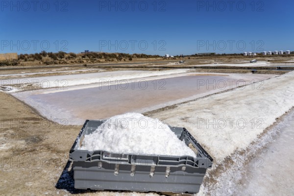 Salt production on the Algarve coast in Portugal, 95 per cent of Portuguese sea salt is extracted here, salt pans near Vila Real de Santo António, Flor de Sal production