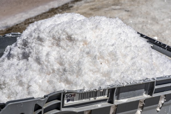 Salt production on the Algarve coast in Portugal, 95 per cent of Portuguese sea salt is extracted here, salt pans near Vila Real de Santo António, Flor de Sal production